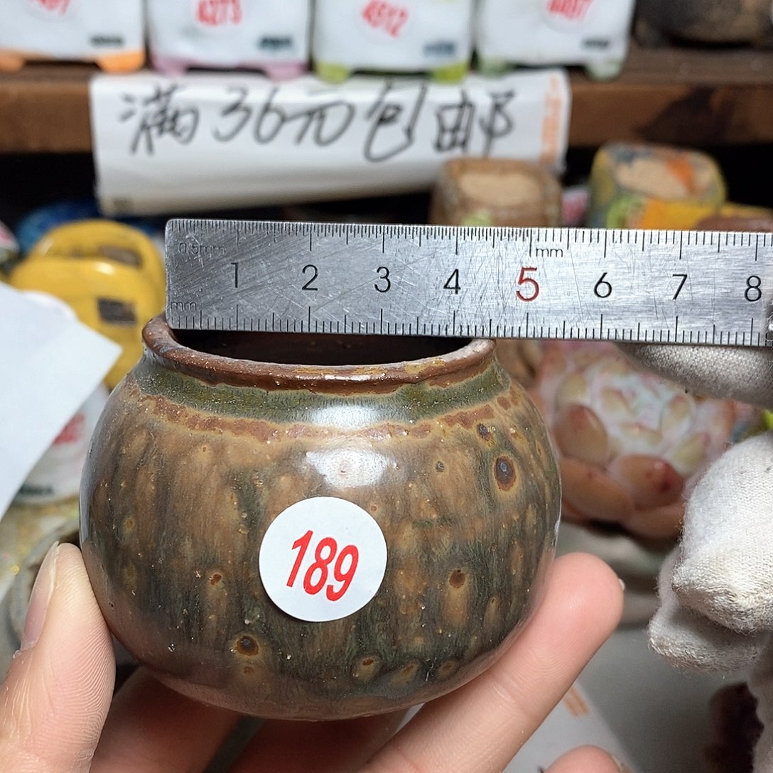 红陶拍5送一个小