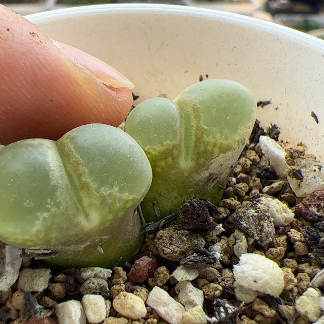 大家初三快乐23117