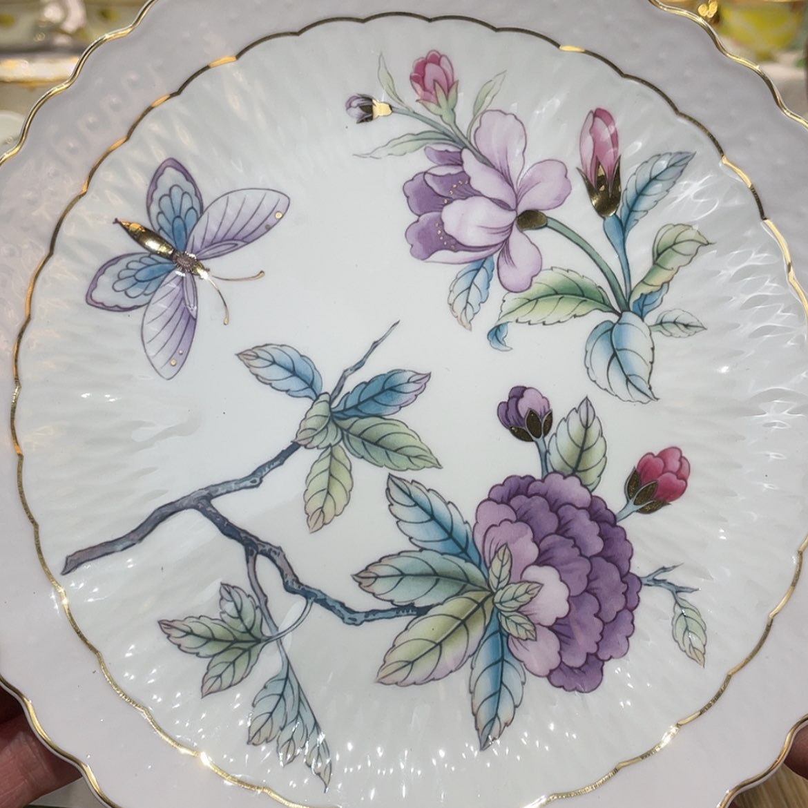 【闪购商品】瓷片，和美陶瓷真便宜