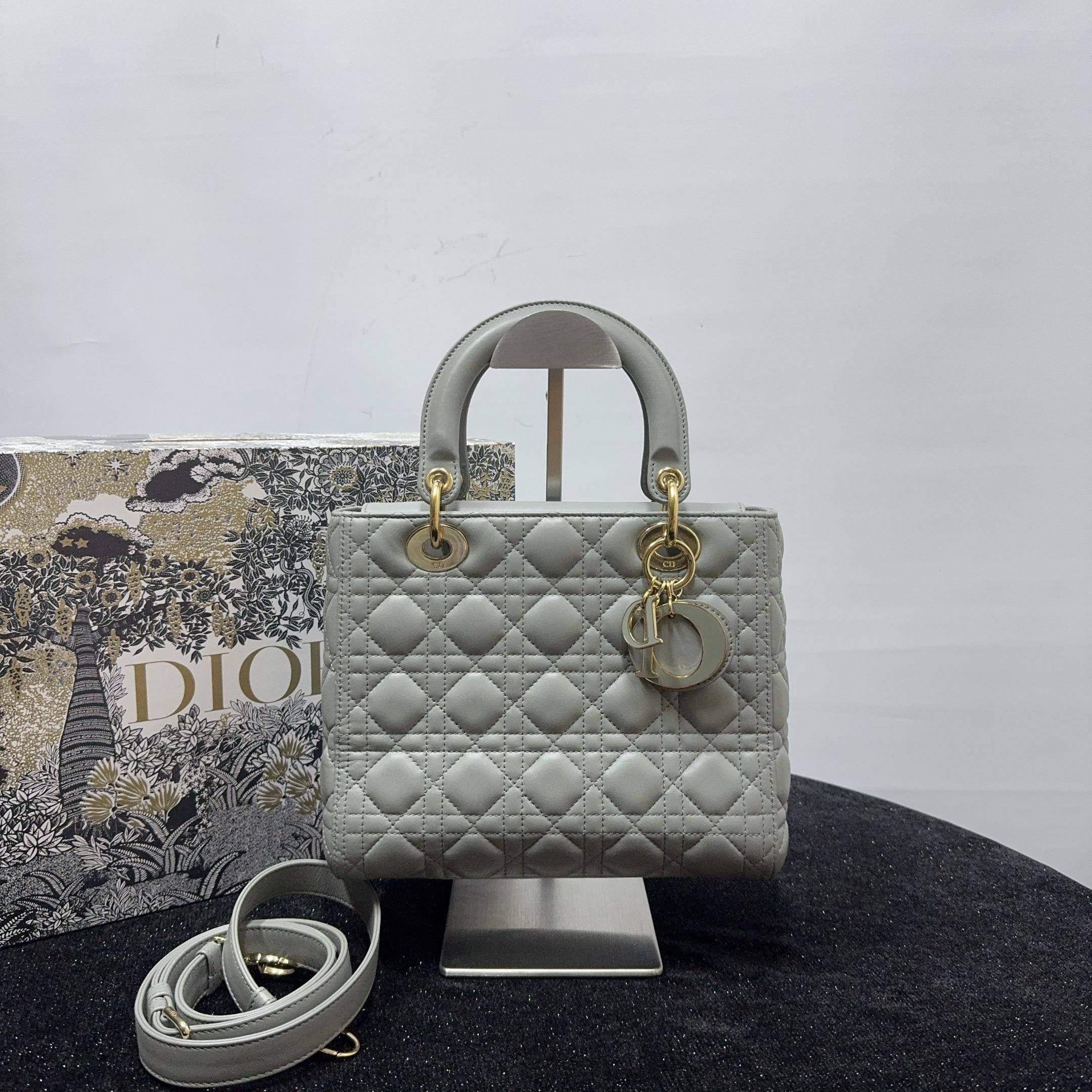 胖虎熙少/迪奥/99新/公价0/箱包/两用包/31T2412220012