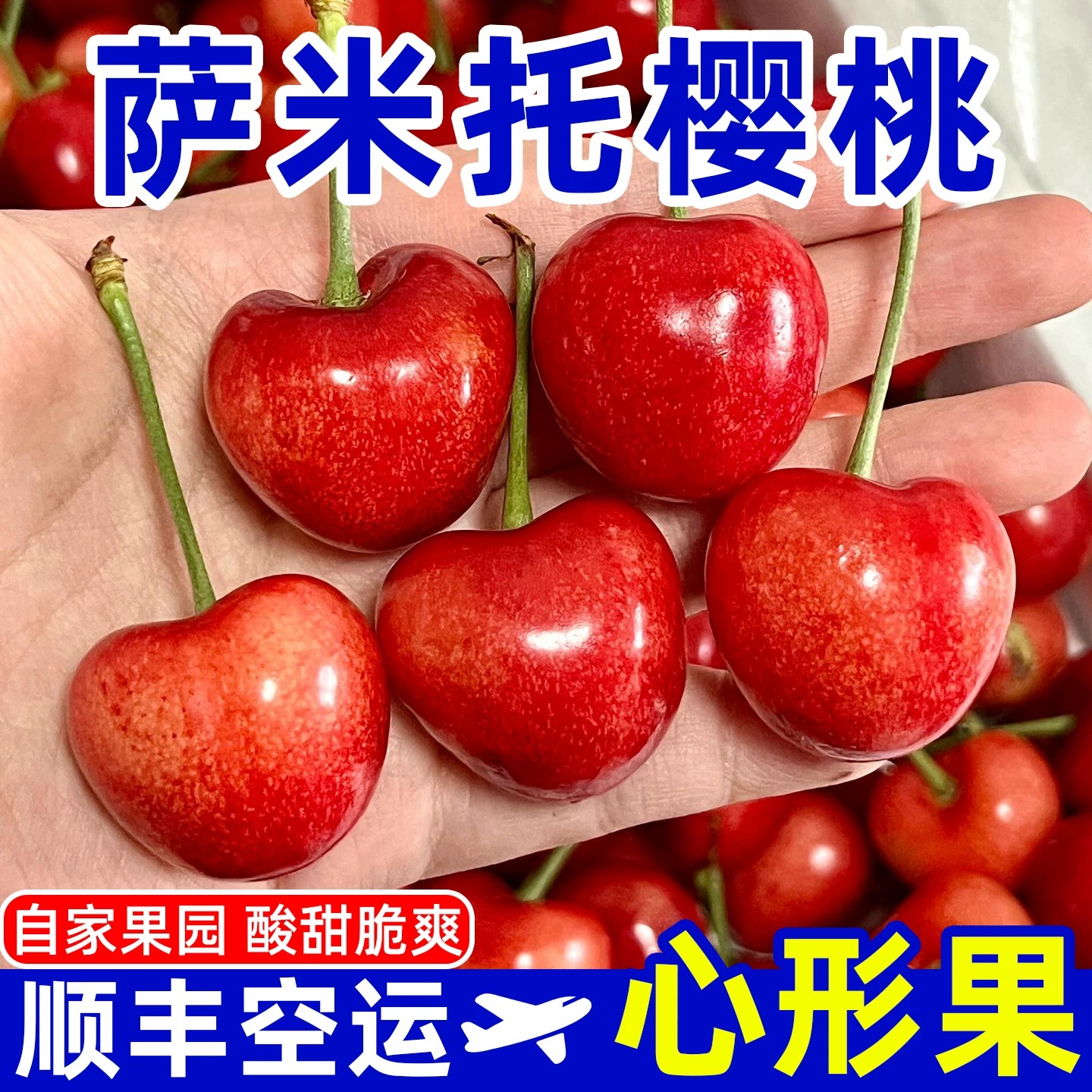 烟台黄金蜜萨米脱爱心大樱桃顺丰空运产地直发！【3、5斤装】
