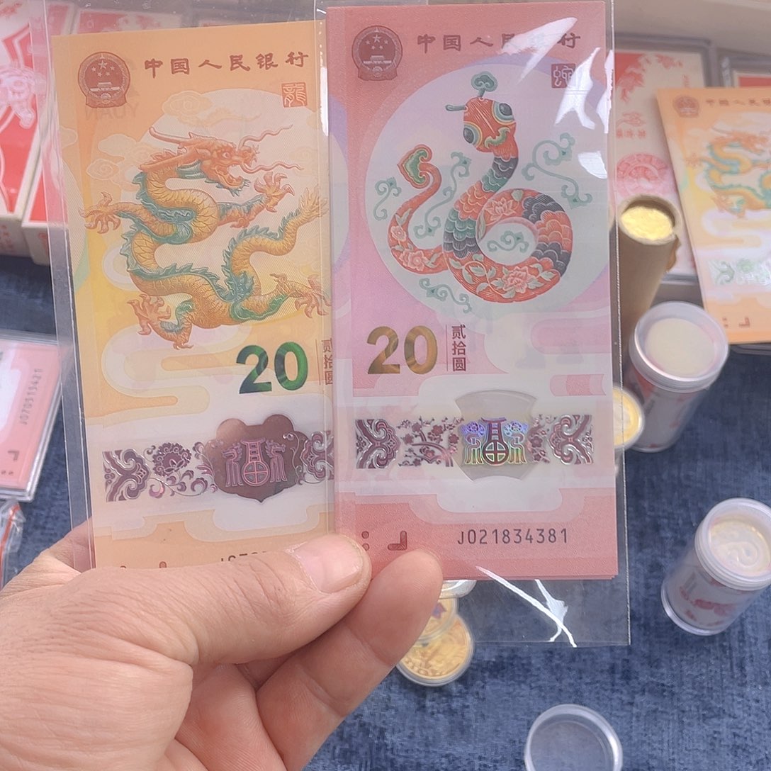 其他普通金属龙蛇钞各一张