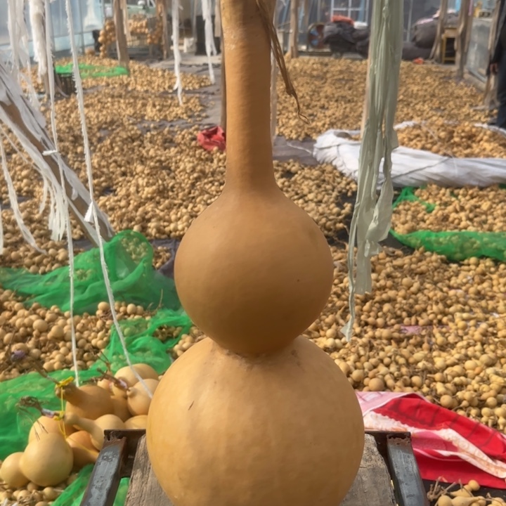 咕噜互留土路互不咕噜互