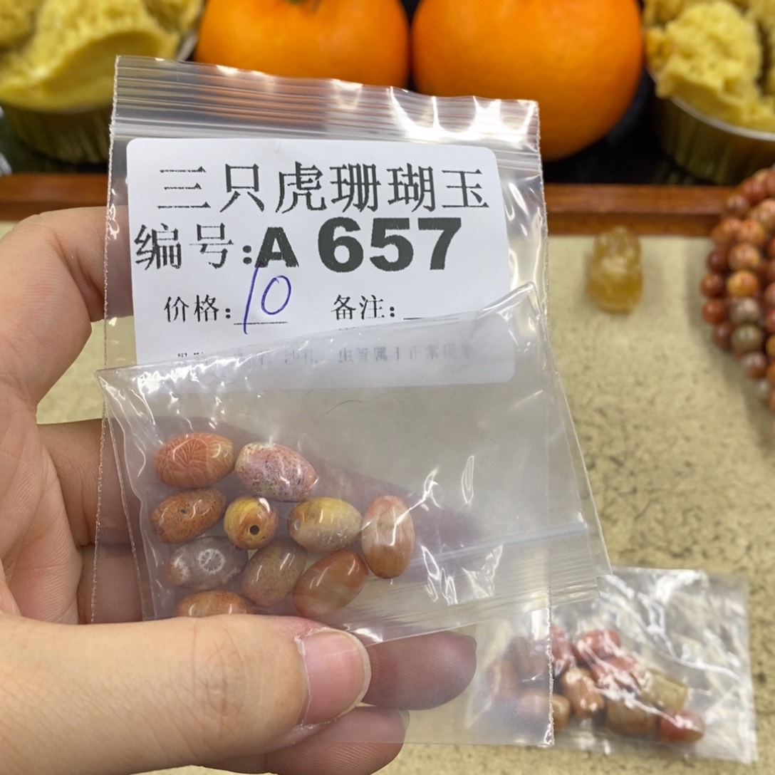 硅化珊瑚（珊瑚玉）1未镶嵌磐*