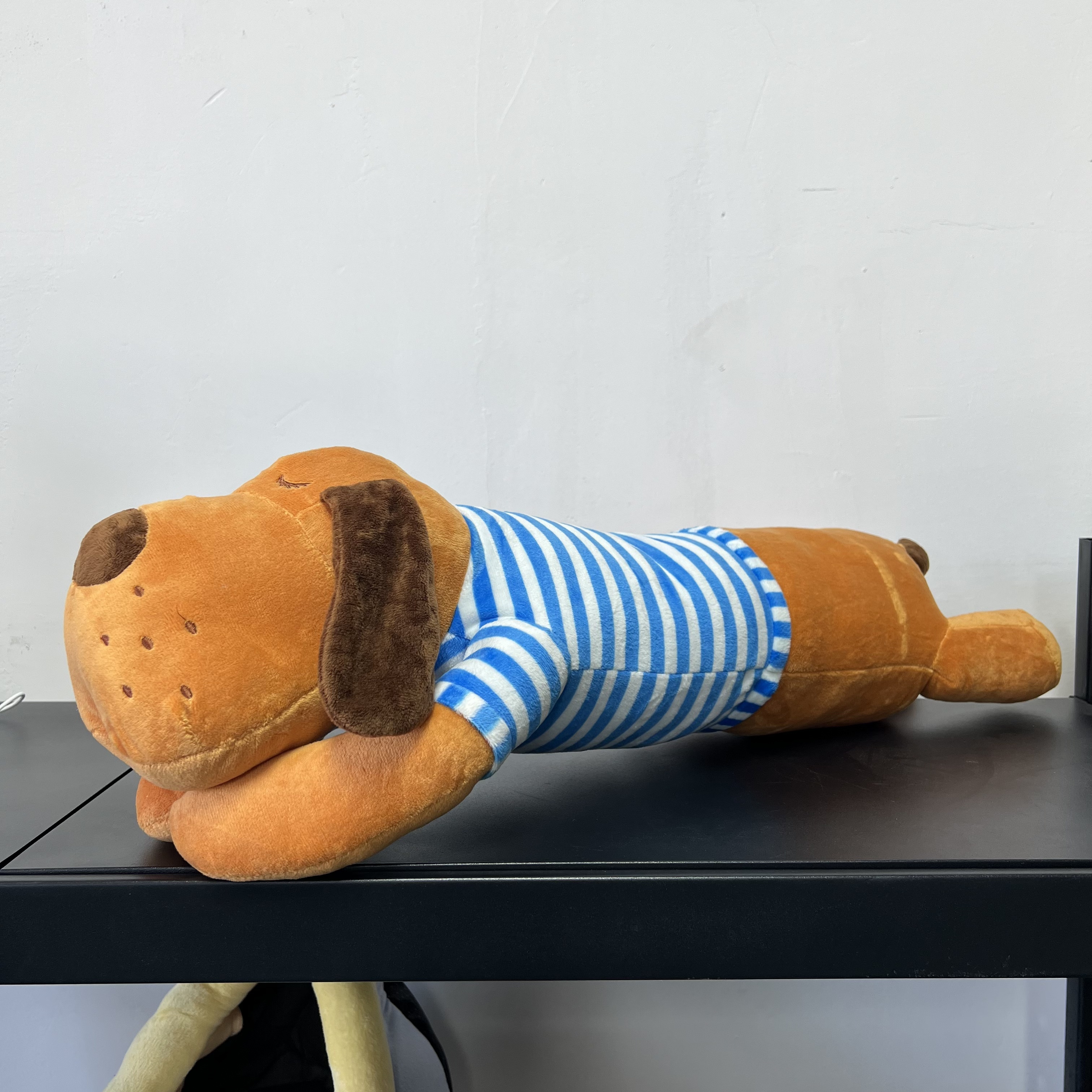 【主播专属】玩偶条纹狗