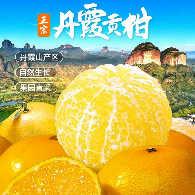 粤北特产丹霞贡柑