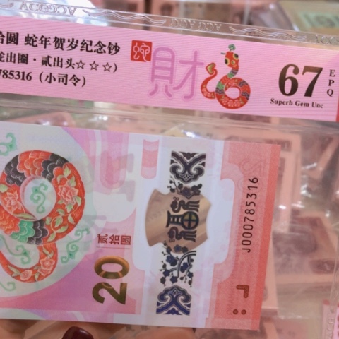 塑料000785316小司令——————