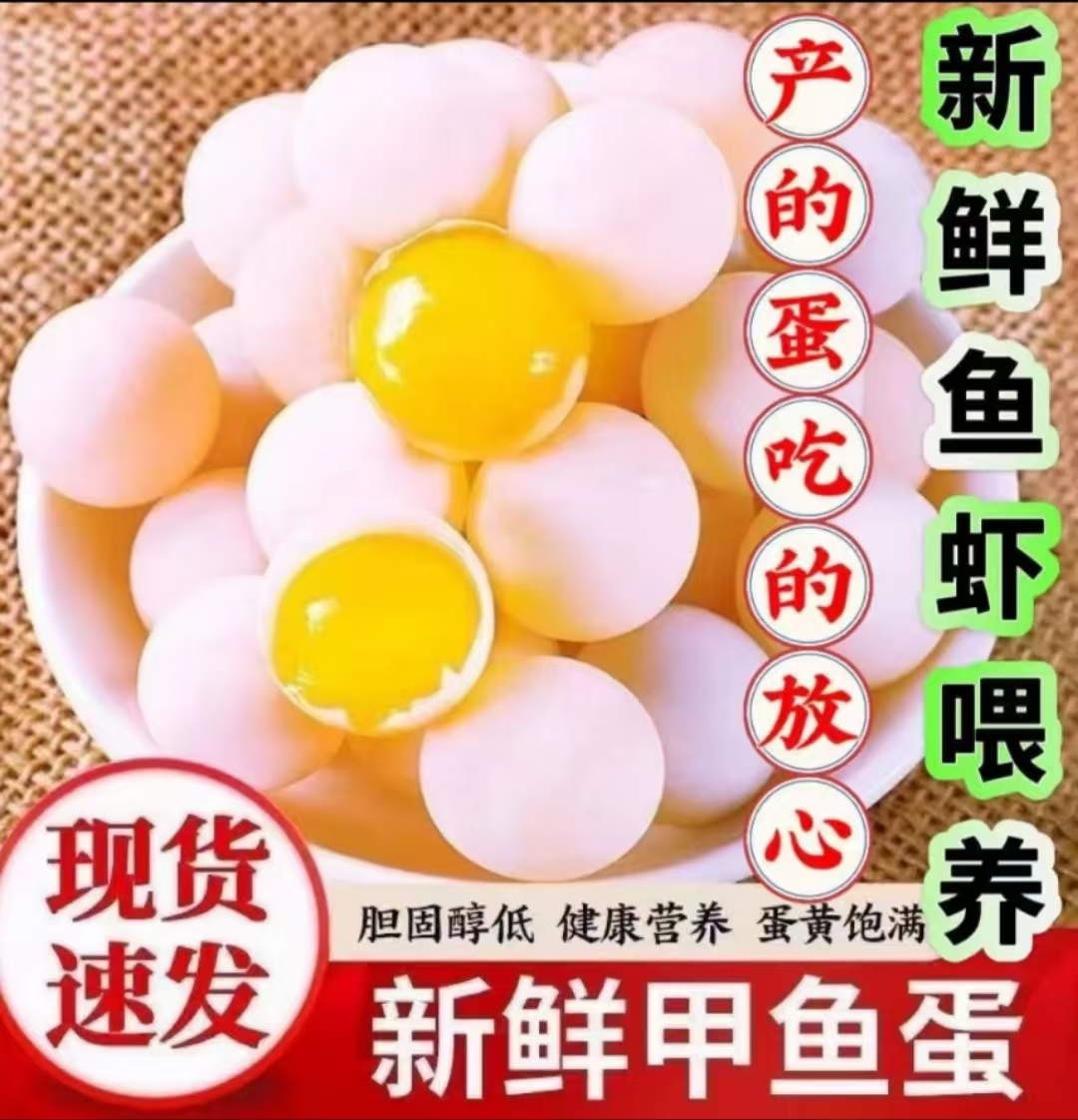 新鲜甲鱼蛋宝宝辅食高蛋白鳖蛋现挖现发生态农场品（赠送菜谱）