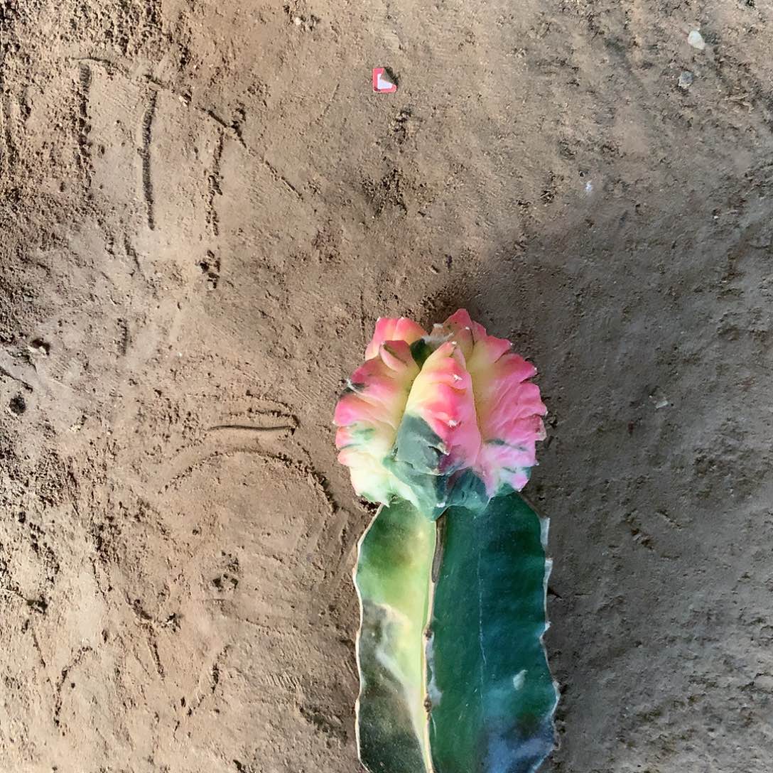 【闪购商品】?****?一玉玉玉