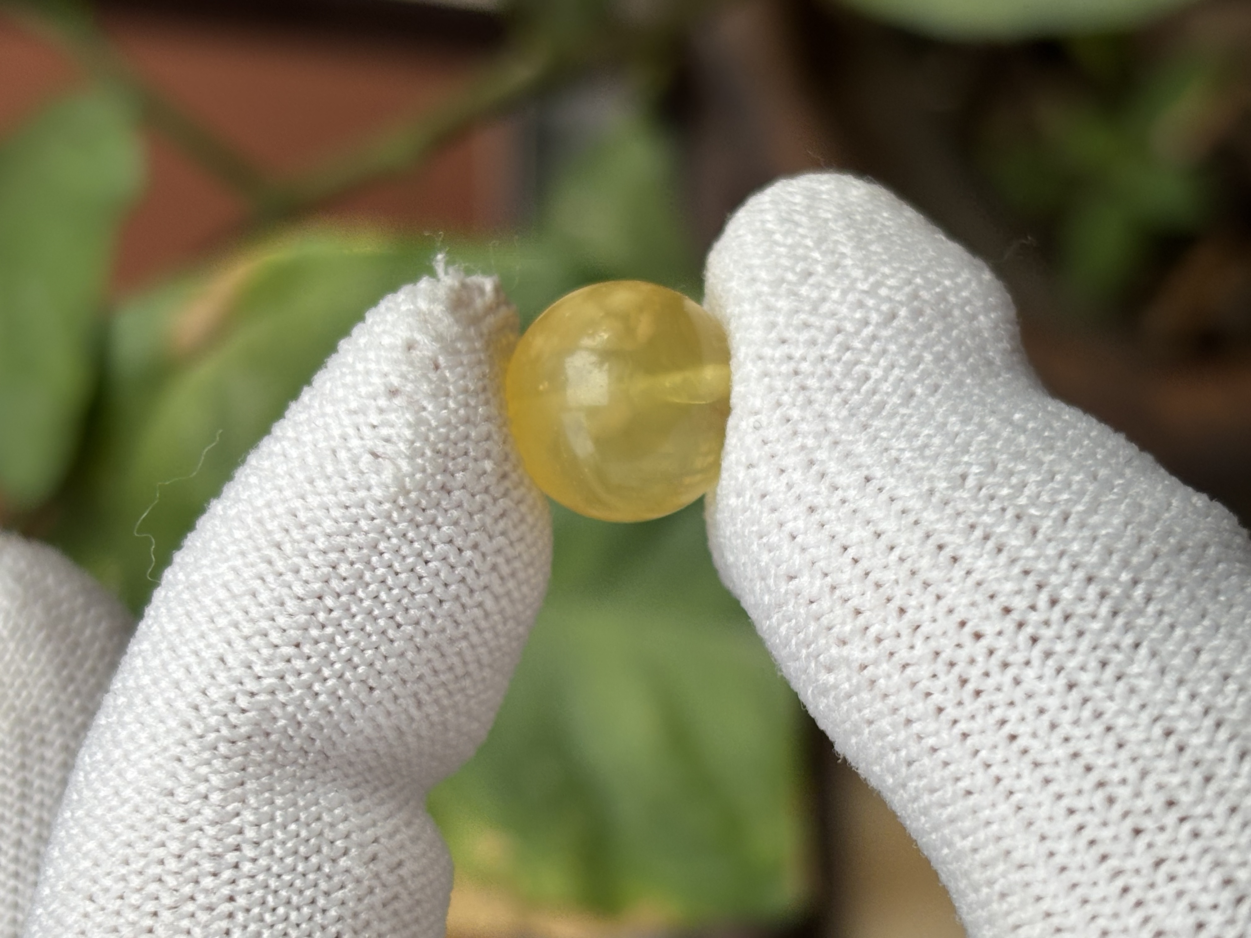 5286天然蜜蜡琥珀圆珠12.2mm