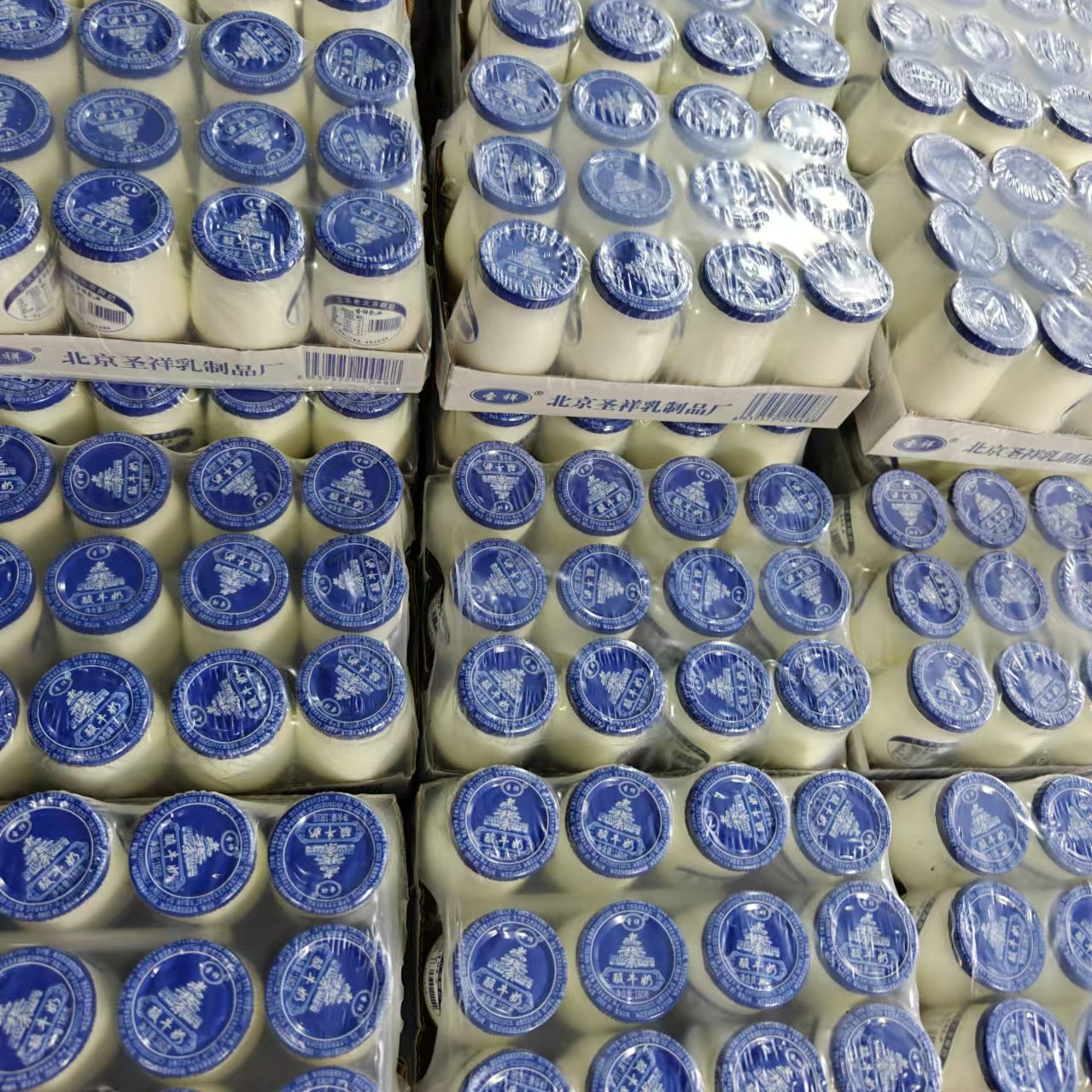 正宗圣祥老北京酸奶  一板12瓶