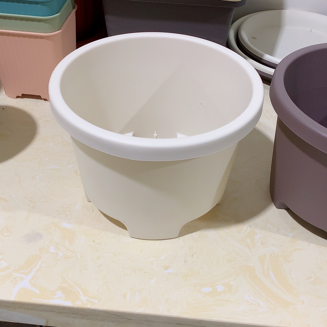 球根口26米白5个无托