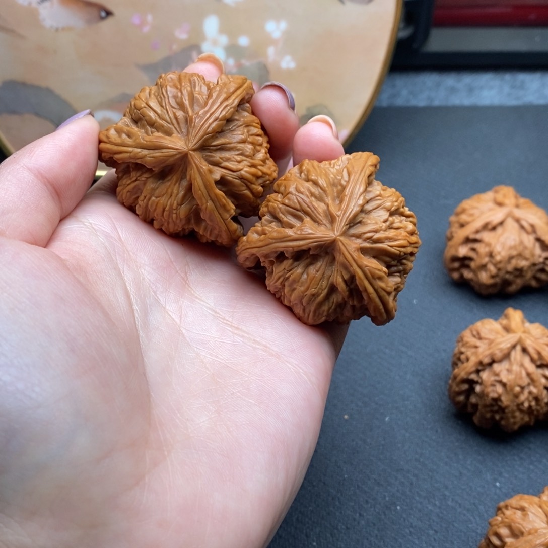 @*念白狮子111111111