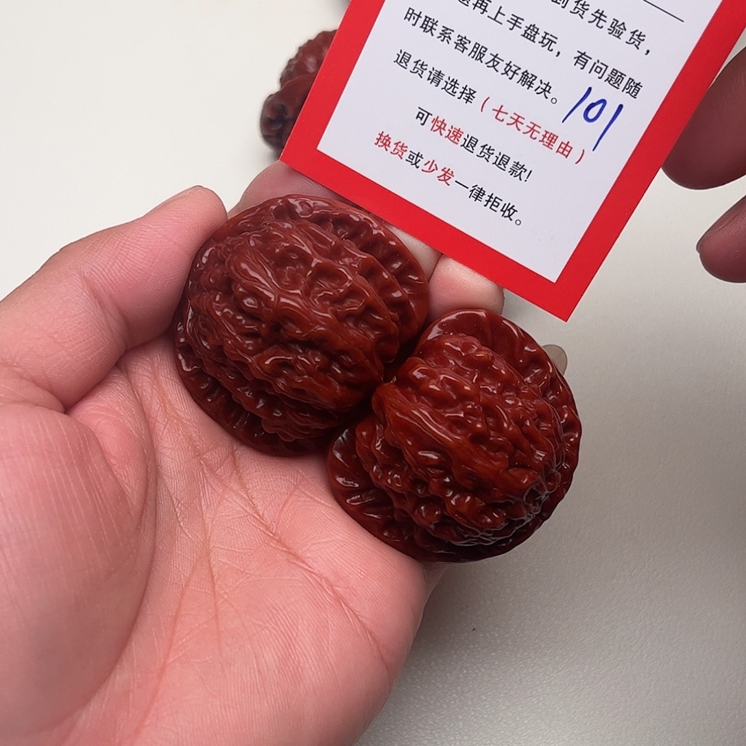 101。42尺。 白狮子