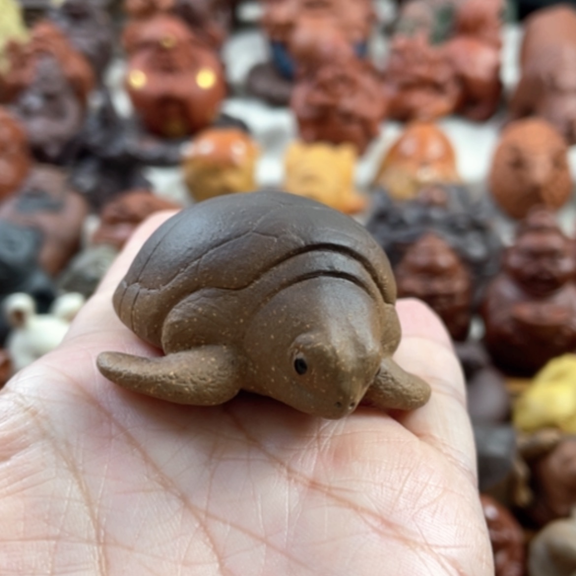 【闪购商品】紫砂茶宠紫砂海龟