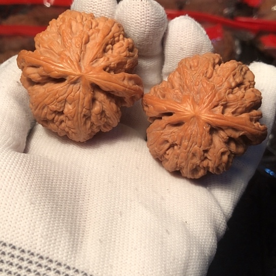 把件文玩核桃大粗筋45