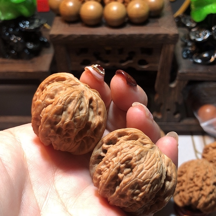 大叶紫檀（黑酸枝木类）