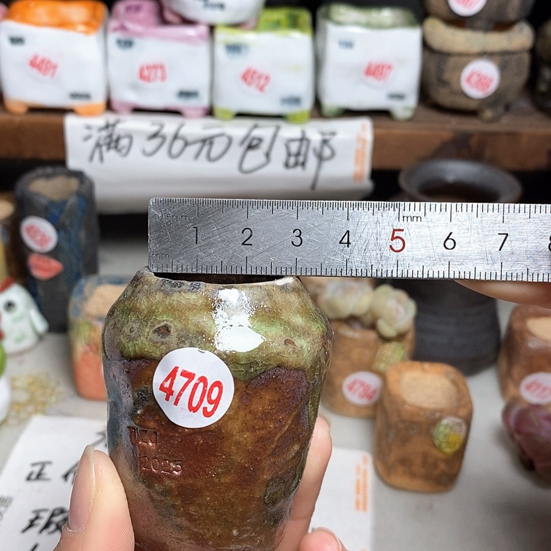 红陶拍5送一个小