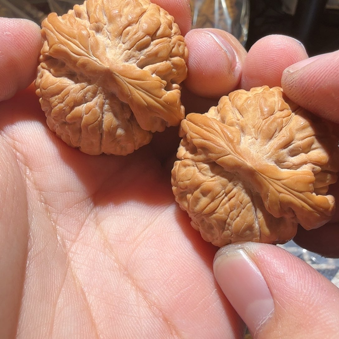 文玩核桃把件莲花