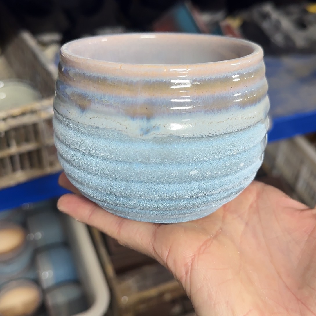 福利局绿植多肉盆［凑9元包邮24小时发］