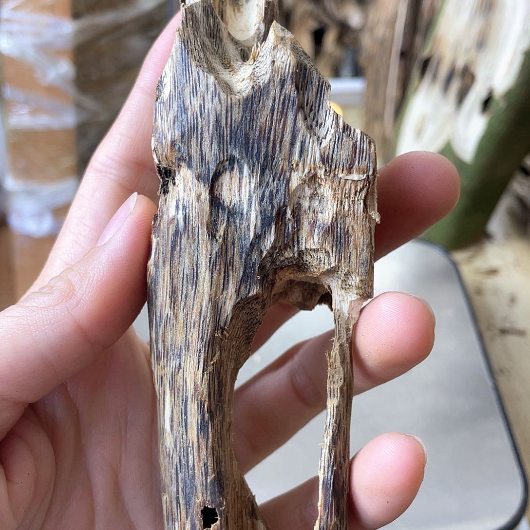 木绿奇楠虫漏原材料27克