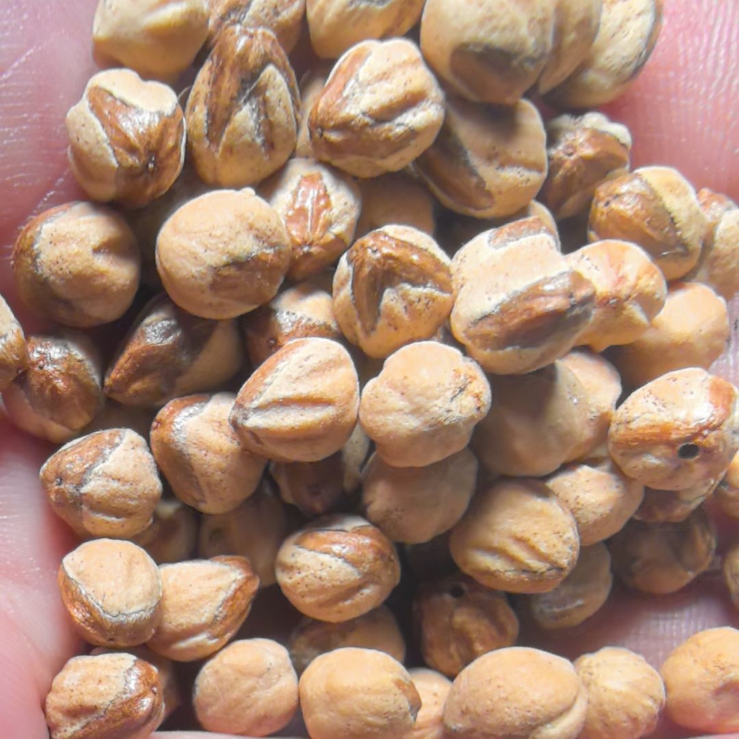 柏香籽/百香籽手串