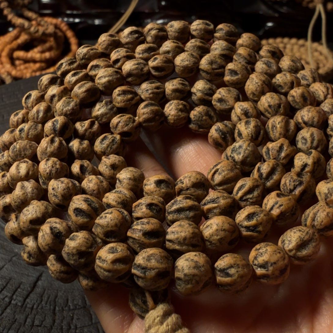 手串柏香籽/百香籽