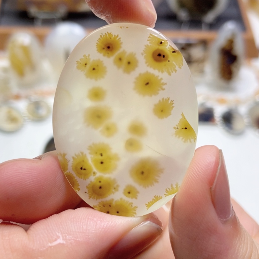 【闪购商品】玛瑙/玉髓颈饰未镶嵌