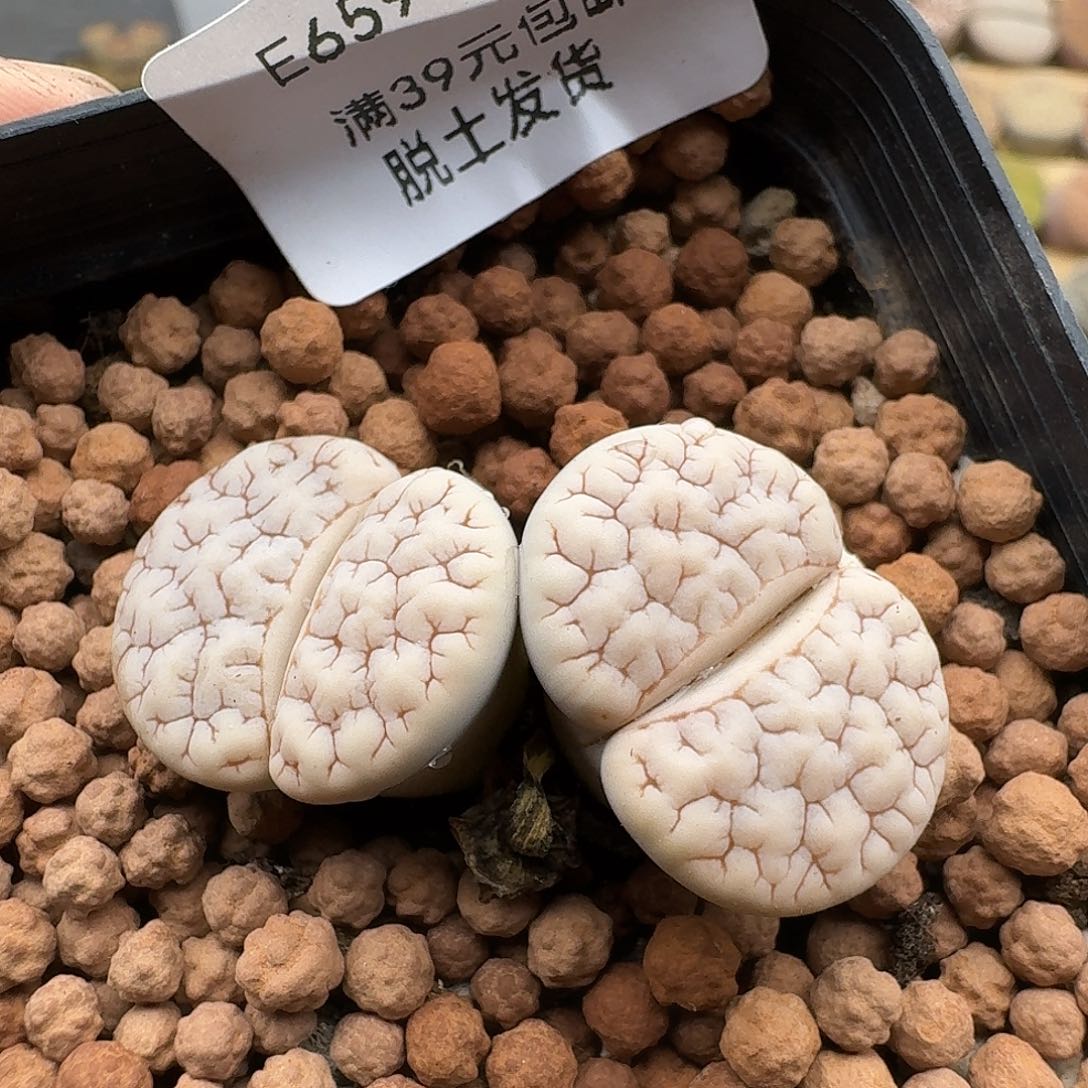 659哈哈哈哈哈哈哈哈哈哈