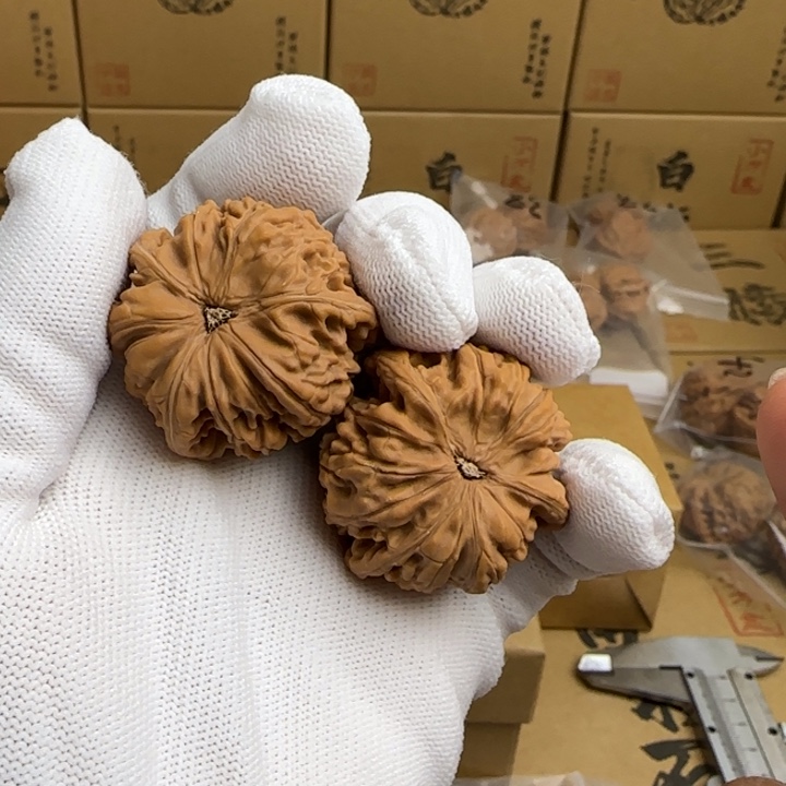 文玩核桃吊坠白***。简单包装玉龙三棱