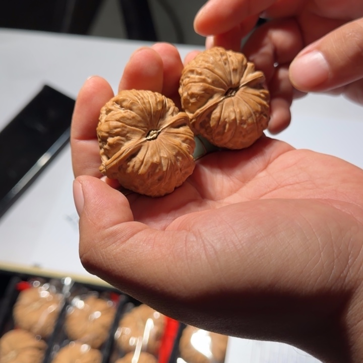 文玩核桃把件533号43mm全品南瓜墩