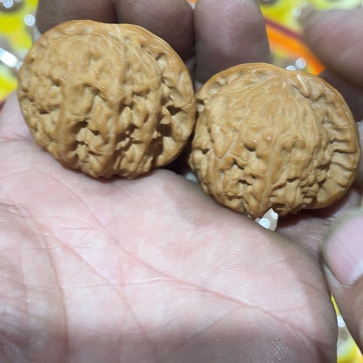 星月菩提吊坠精品核桃白狮子42