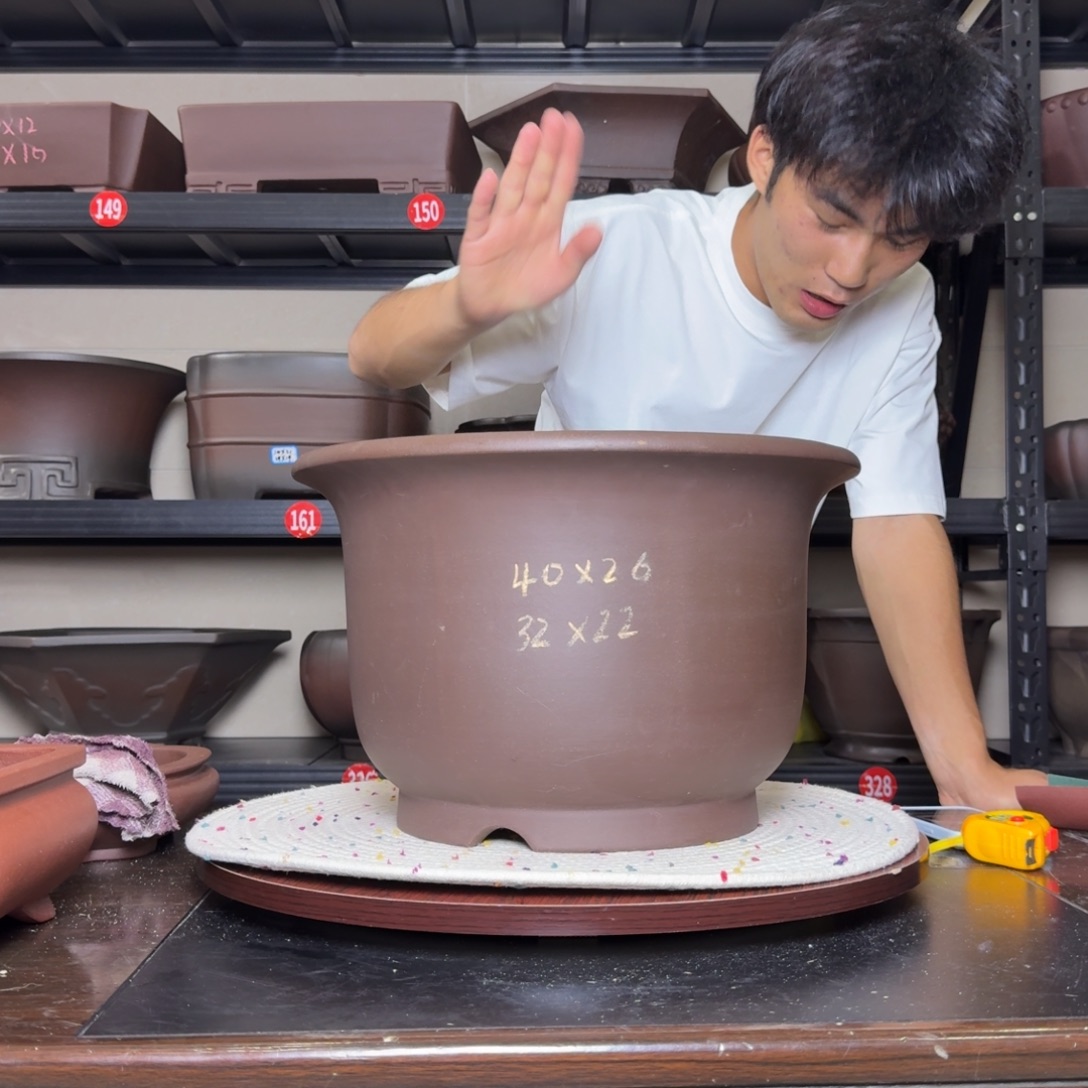 紫砂其他呜呜呜呜