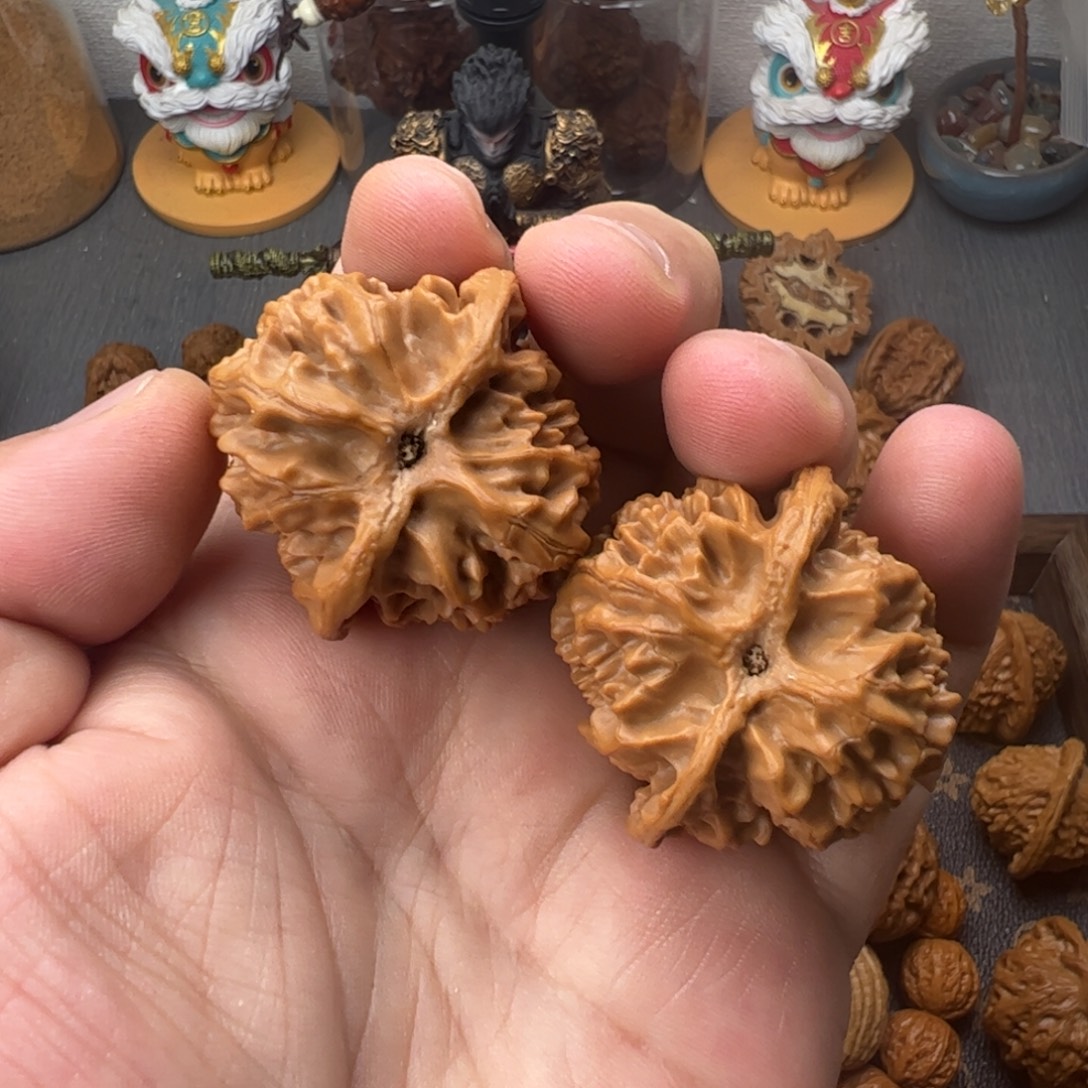 40苹果园全品111111