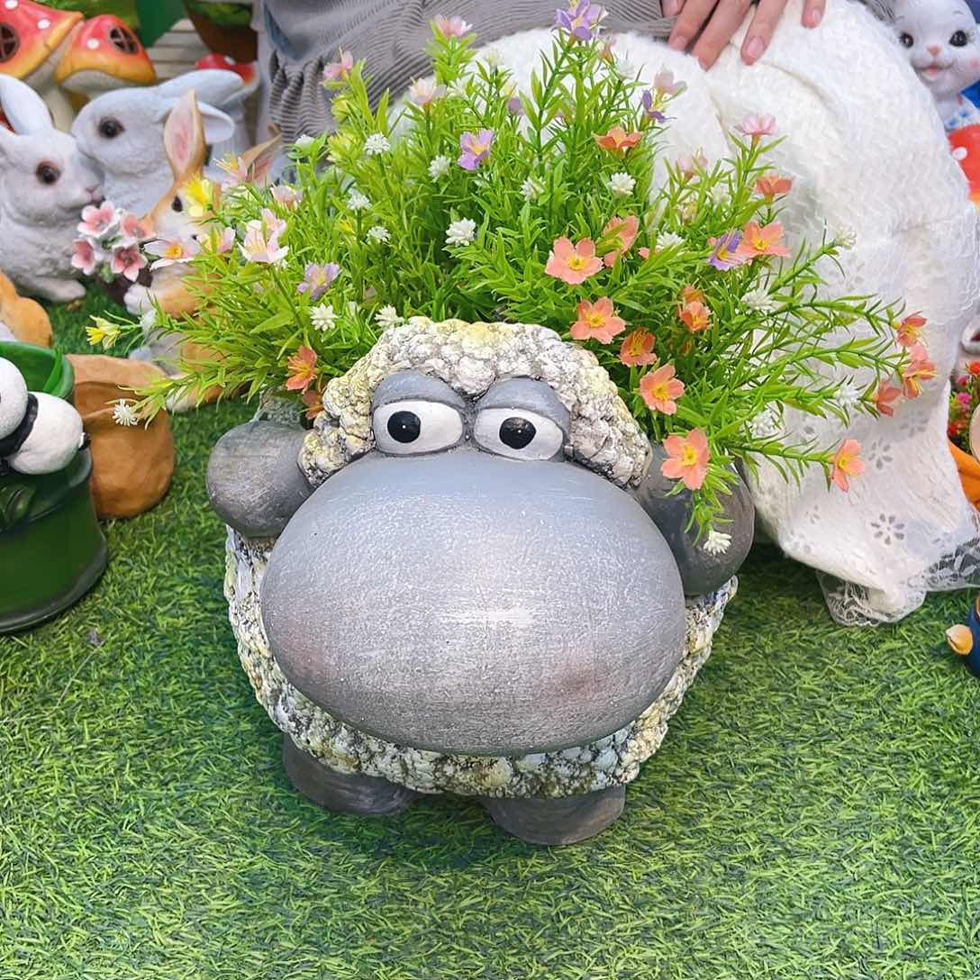 【闪购商品】红陶                  