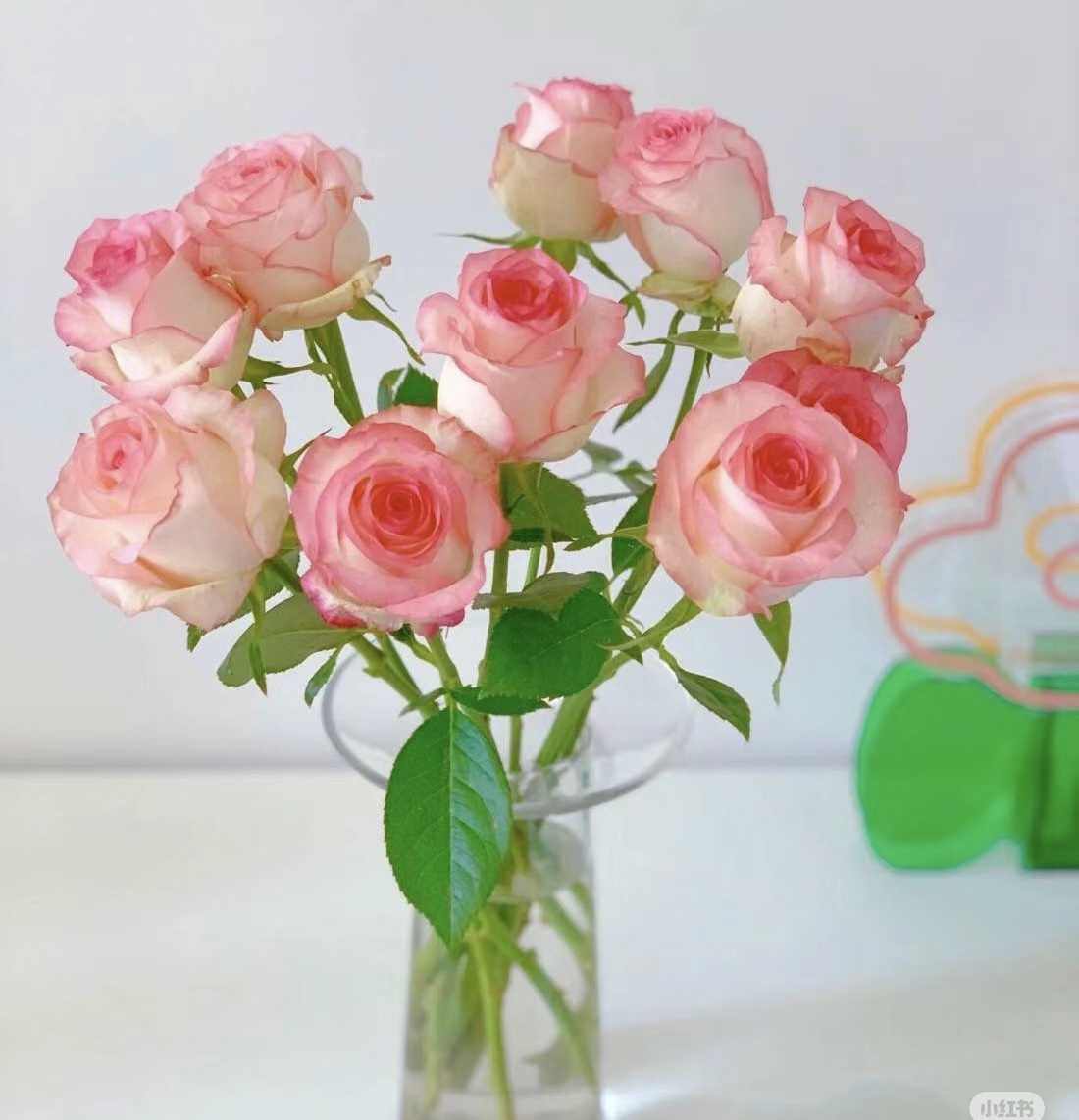 艾莎5支+爱丽丝3支+巧克力3支+芭比3支+牛油果3支+配草