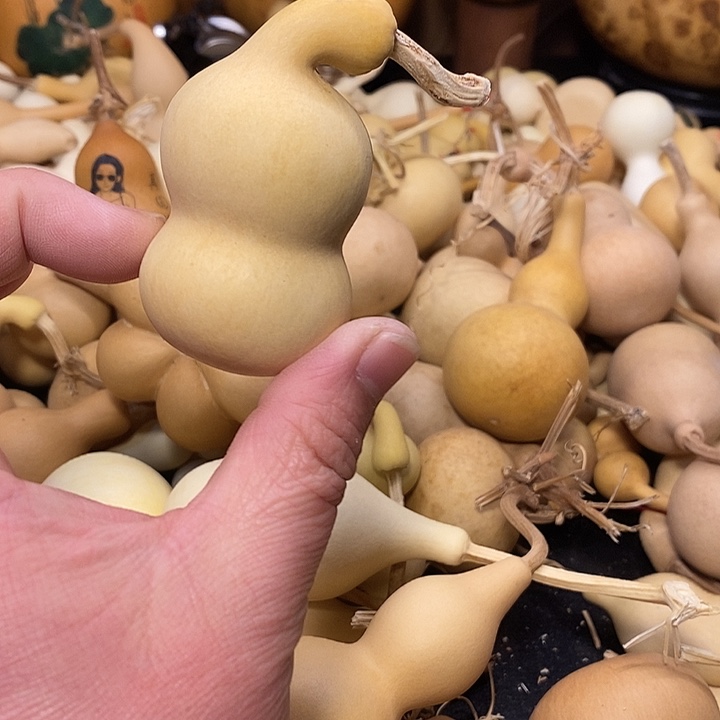 康***房精品葫芦手把葫芦86