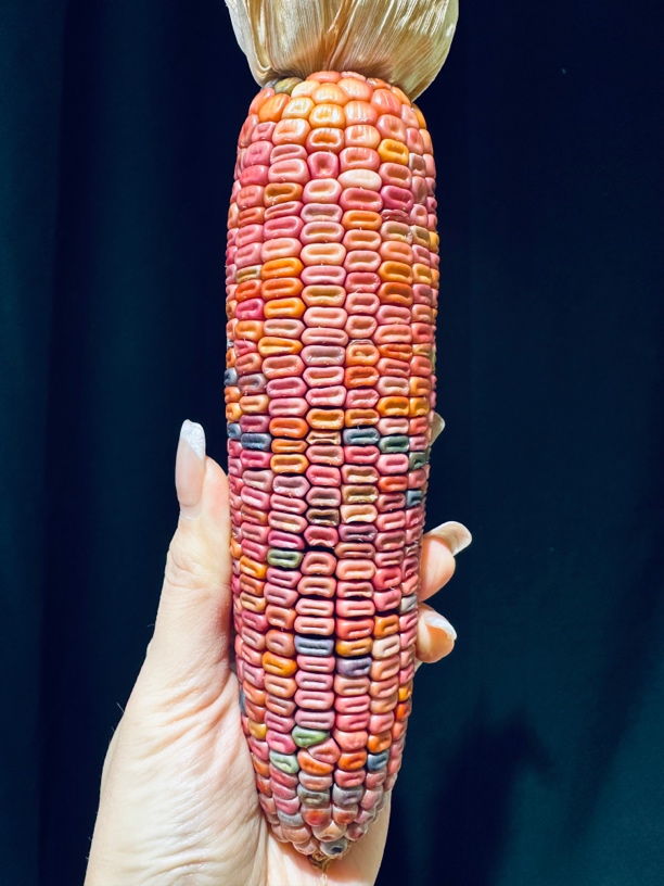 文玩玉米毛料 直播间一物一拍 图片仅供参考