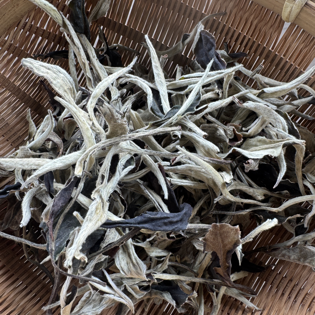 云南腾冲～2017白牡丹白茶散茶，香气高扬