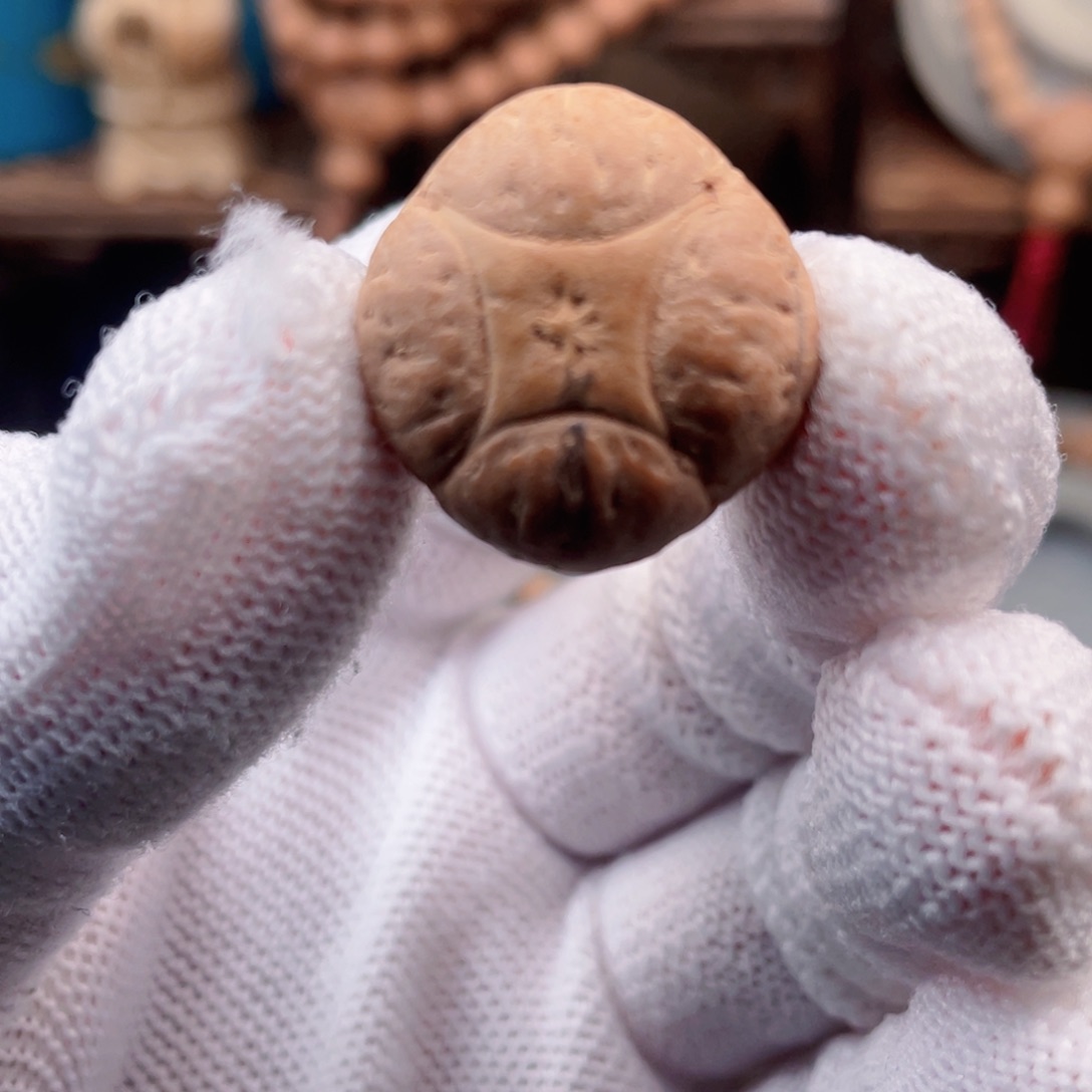 吊坠凤眼菩提?****7麒麟