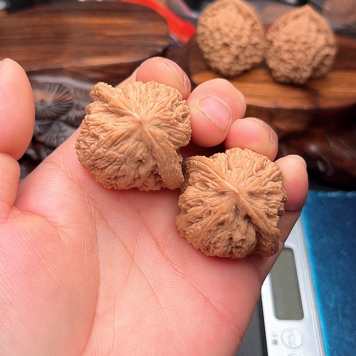 桃核把件核桃密纹儿40