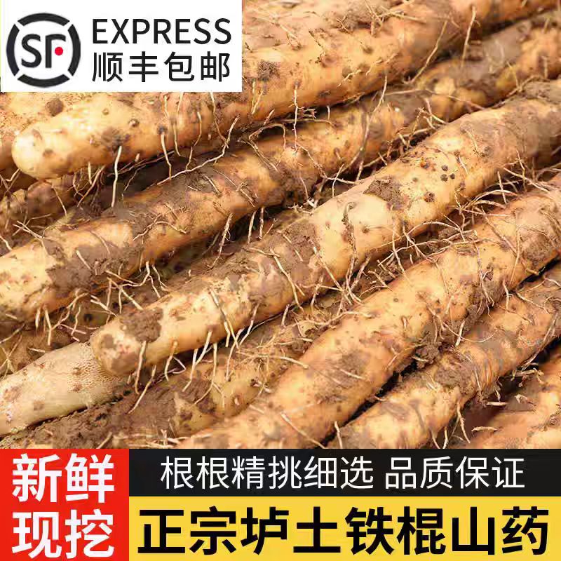 2025现货正宗河南焦作温县垆土【铁棍山药】顺丰包邮人工精心挑选