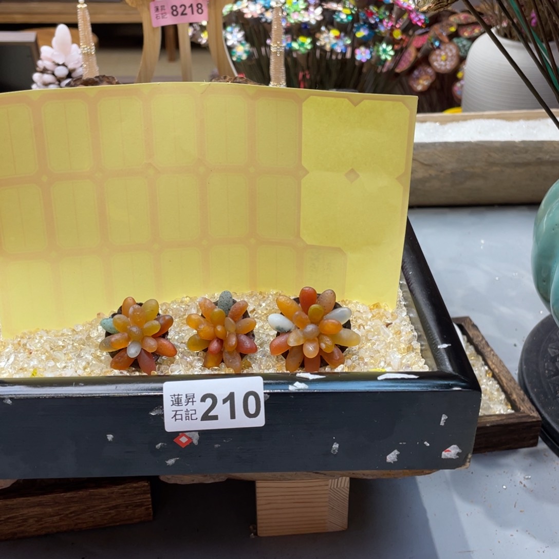 核桃木/黑胡桃（胡桃木）是****210