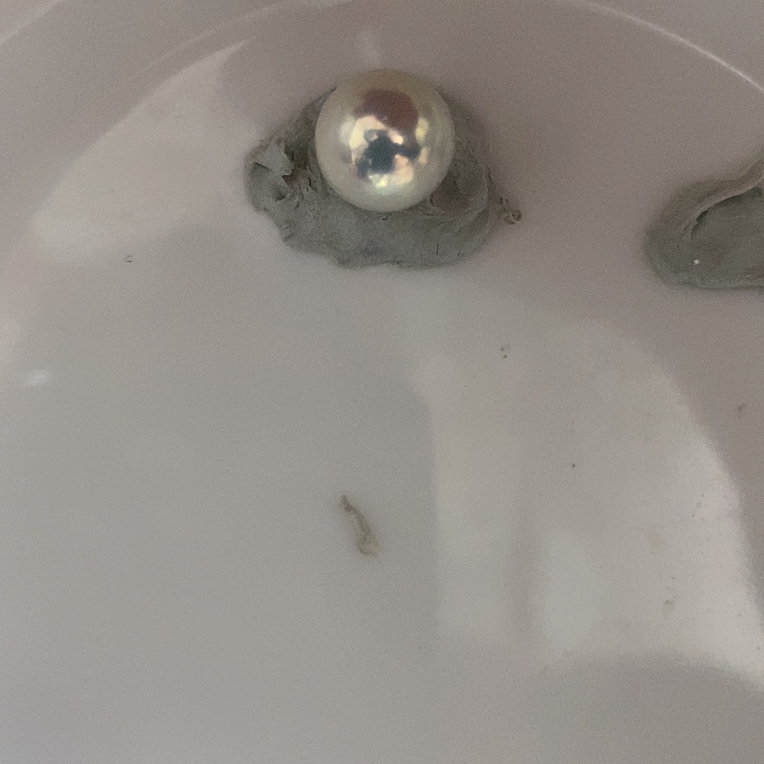 银S925镶嵌耳饰淡水珍珠