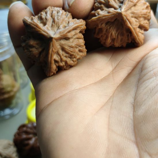 大叶紫檀（黑酸枝木类）盘山三棱核桃，