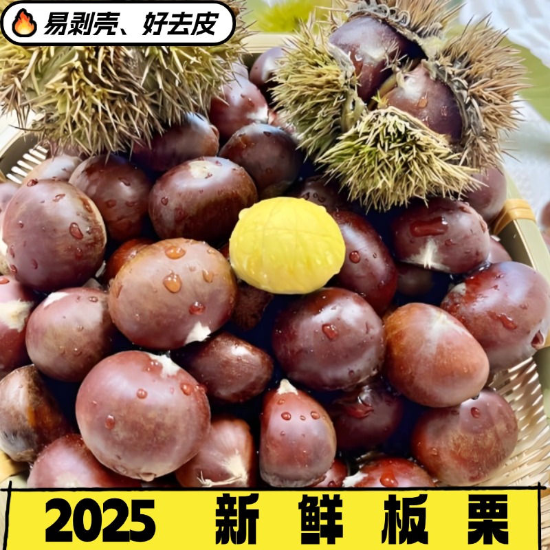 【2025新货】新鲜现摘高山板栗甘甜清脆鲜香生栗子大板栗5斤装