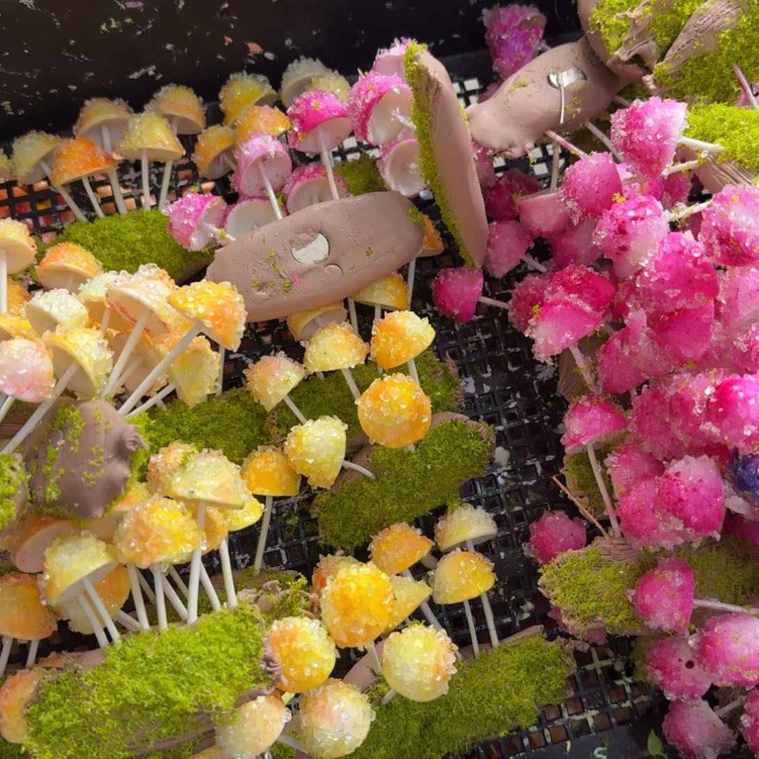 树脂63号2个哦哦哦哦哦哦哦