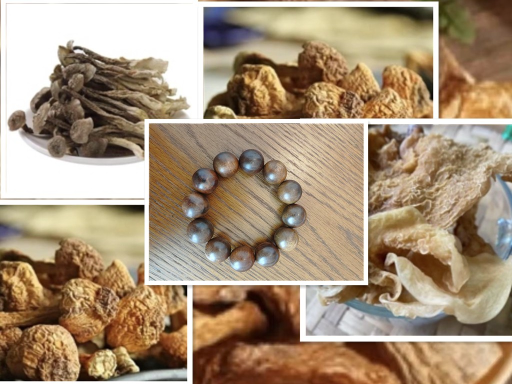 【在河口的秘密】A0311 重量60g