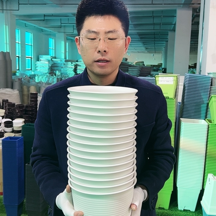 正品矮陶口21高15白色8只无托