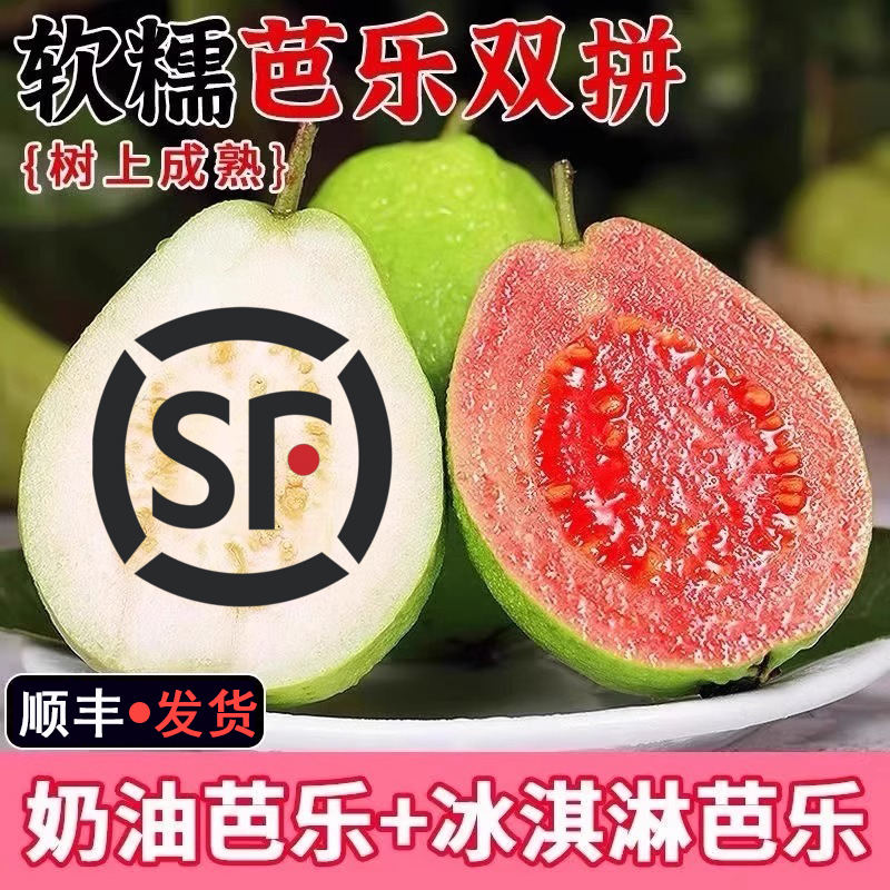 3号链接【红白双拼】顺丰发货广东正宗新鲜香糯奶油软心番石榴芭乐